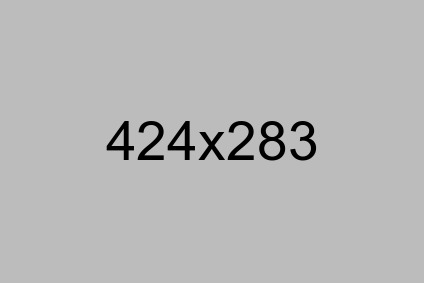 Slider Image 2